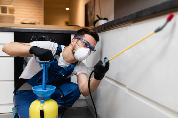 Best Wasp Removal Services  in Ellensburg, WA
