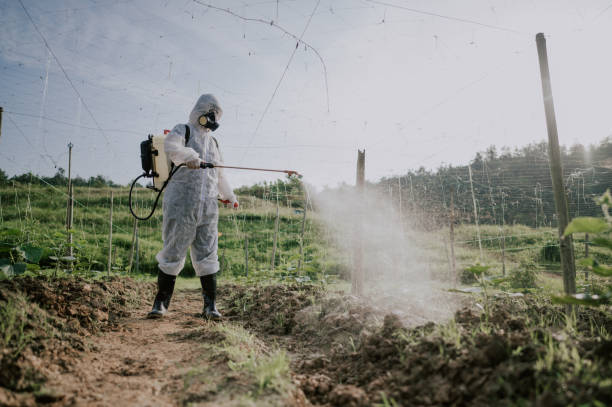 Reliable Ellensburg, WA Pest Control Solutions