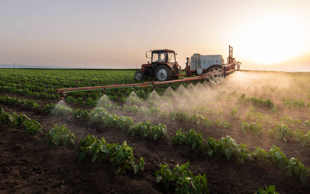 Best Pest Prevention Services  in Ellensburg, WA