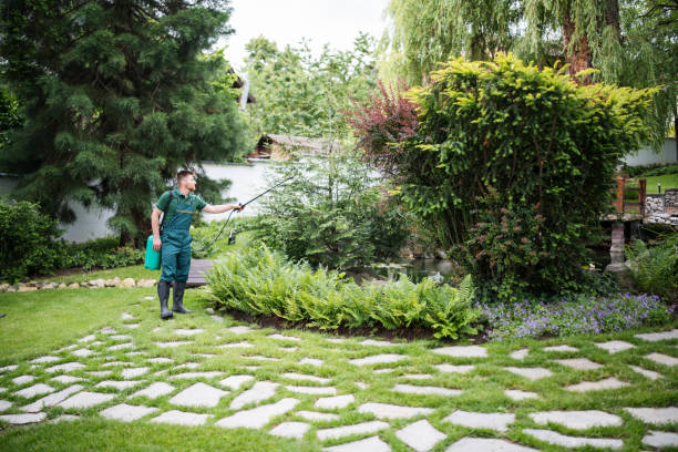Pest Control for Restaurants in Ellensburg, WA