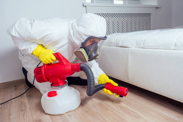 Best Residential Pest Control  in Ellensburg, WA