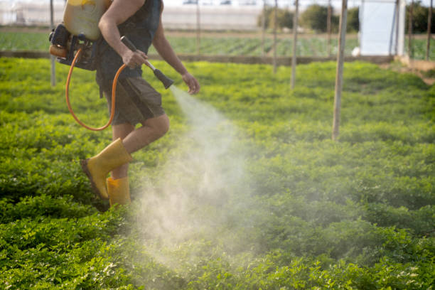 Best Ant Control Services  in Ellensburg, WA