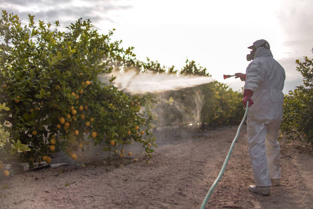 Best Pest Control for Restaurants  in Ellensburg, WA