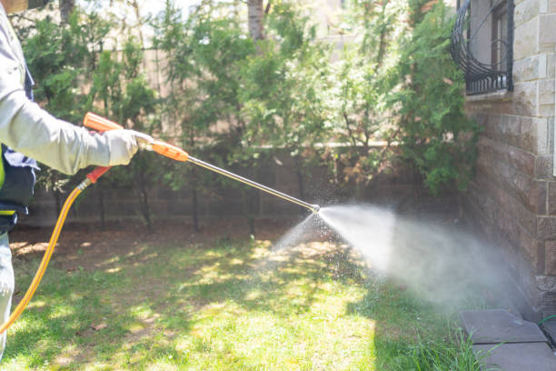 Spider Control Near Me in Ellensburg, WA