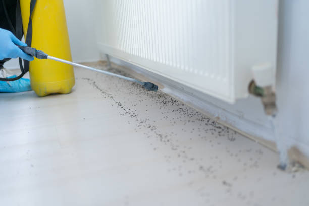Best Residential Pest Control  in Ellensburg, WA