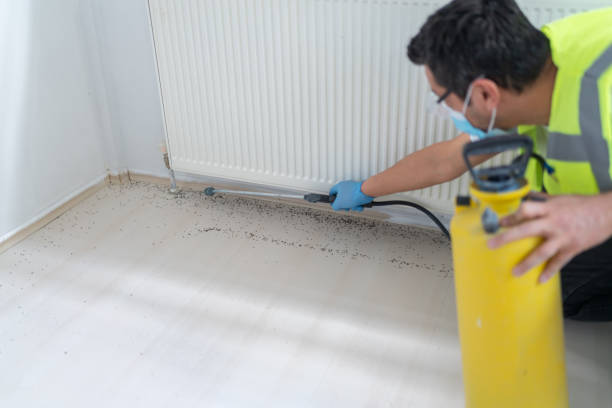 Best Pest Inspection Near Me  in Ellensburg, WA