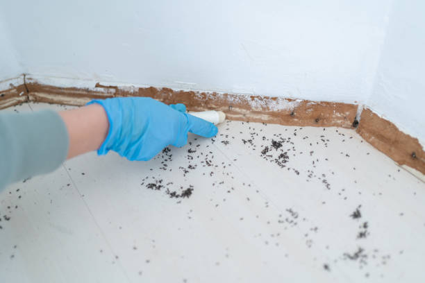 Best Pest Control Near Me  in Ellensburg, WA